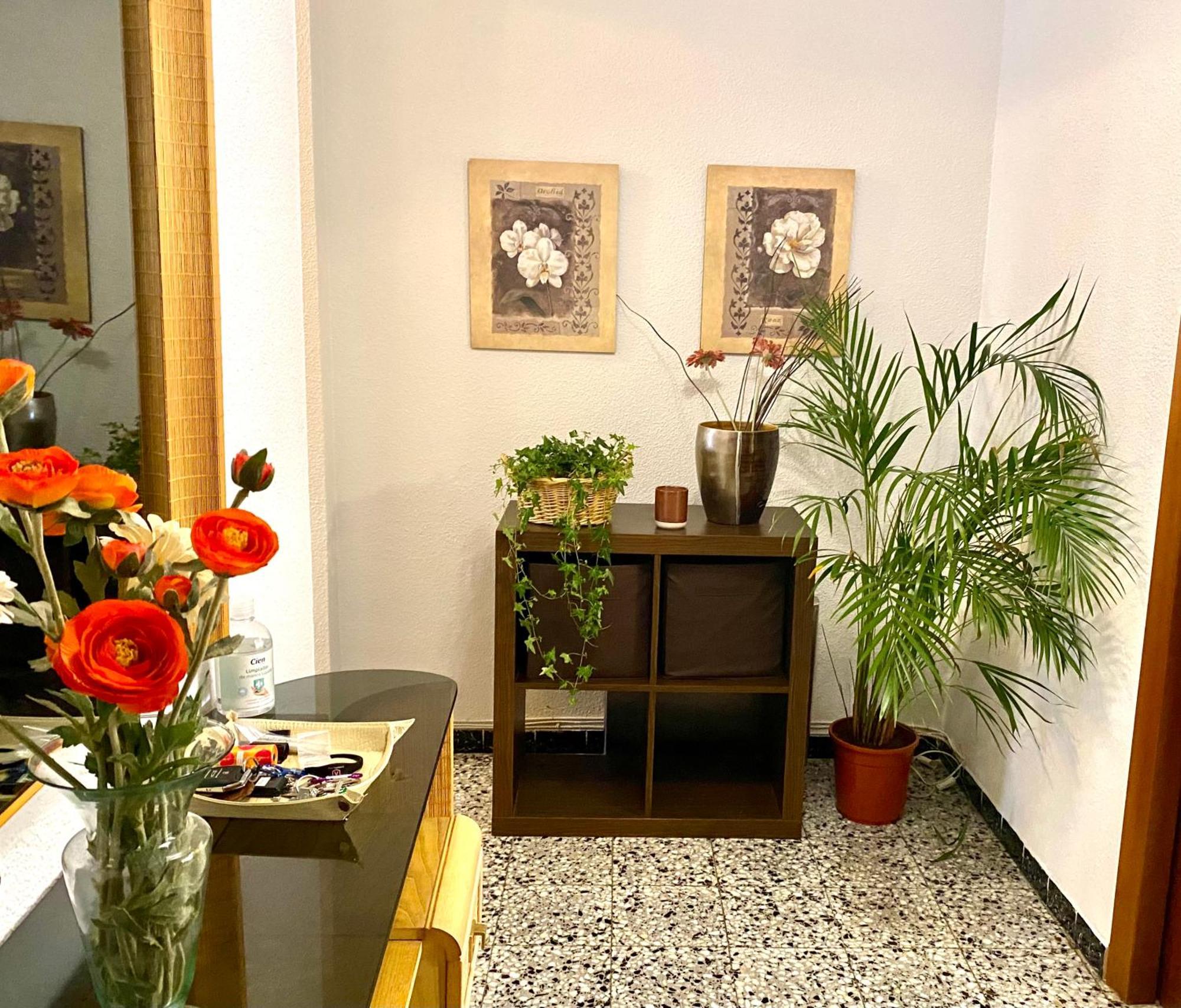 Habitacion My Home Аликанте Екстериор снимка